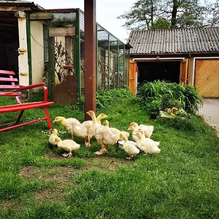 شقة Ferienwohnung Auf Dem Fischer-hof ستولبين